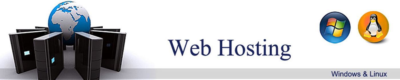 website design company in india